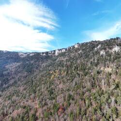 Unterhalb der Fluh führt der MTB-Trail durch