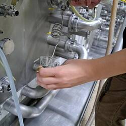 Frisch gezapftes Bockbier 🍺😋