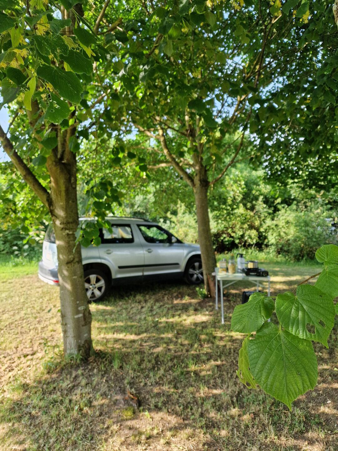 Stellplatz bei Heidi