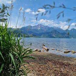 Kochelsee