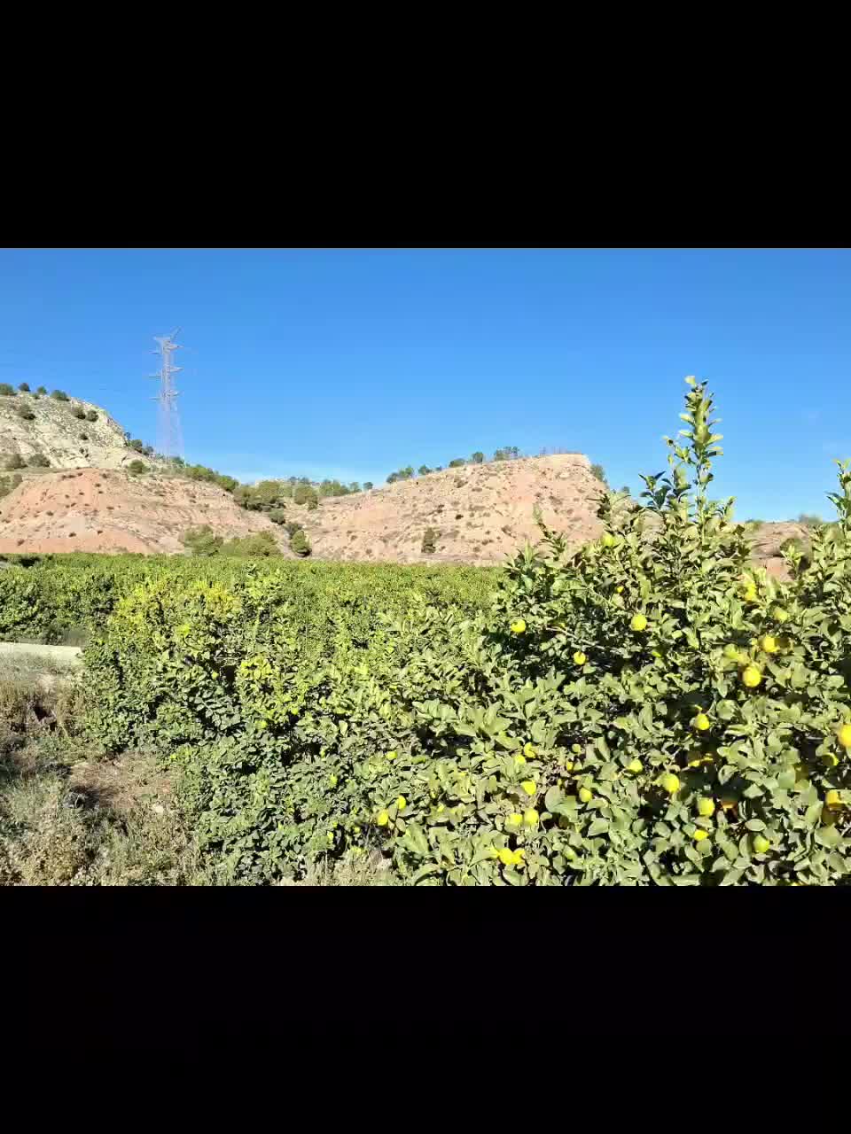 Vidéo-diaporama : suivez-nous pour aller à l'exposition à la galerie FranCri