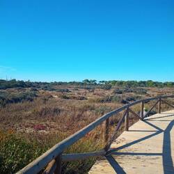 Holzwanderpfade durch den Nationalpark