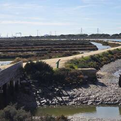 Radeln durchs Naturschutzgebiet