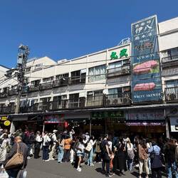 Tsukiji Jogai Market direkt neben dem Hotel, grosser Meeresfrüchtemarkt und Streetfood
