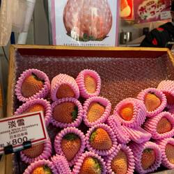 Weisse Erdbeeren, eine kostet 5€