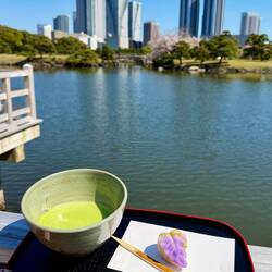 traditioneller Matchatee mit Wagashi, eine Mochi- Süssiigkeit, im Teehaus des Hama-rikyu Gartens