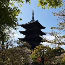 Pagode beim Toji Tempel aus dem 8.Jh (Kyoto)