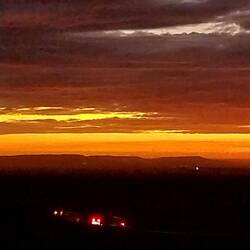 Die Busse fahren ab mit lauter Musik