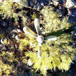 Von oben auch speziell🤣