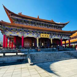 Wer findet die vielen kleinen Tiere ? 🤔