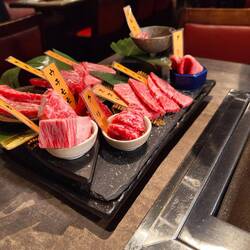 Sélection de 10 pièces de bœuf A5 de Kagoshima