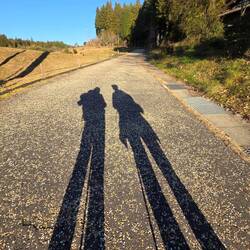 And this is the "yellow brick road" we are following