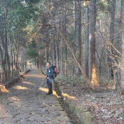 This section is a preserved original cobblestone path