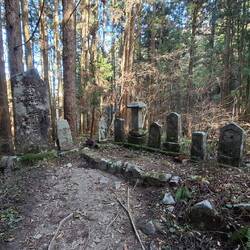 There are loads of shrines scattered everywhere