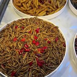 Für Allesfresser 😱