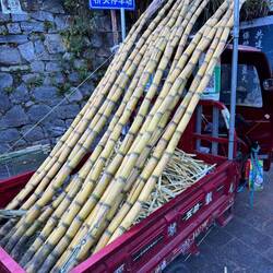 Das Zuckerrohr wird geschält, klein gehackt und verkauft.