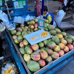 Was bekommen wir doch für kleine Mangos 😢