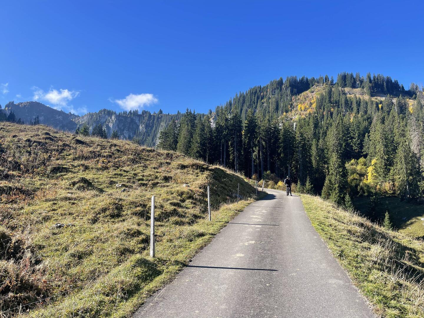 Vom Bodenalmi geht es über die Strasse Richtung Menigwald hoch