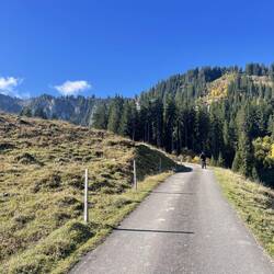 Vom Bodenalmi geht es über die Strasse Richtung Menigwald hoch