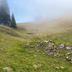 Hinter dem Niederhorn verliert sich der Weg im Nebel