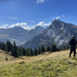 Im Hintergrund erscheint der Mutiggalm