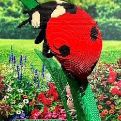 Alles aus LEGO® Einzelteilen