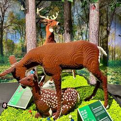 Alles aus LEGO® Einzelteilen