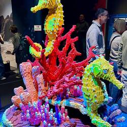 Alles aus LEGO® Einzelteilen