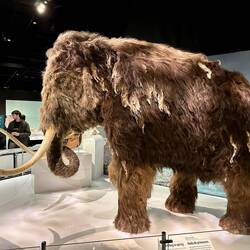 Denver Museum of Nature & Science