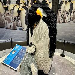 Alles aus LEGO® Einzelteilen