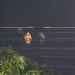 So lässig. Muss man erst mal sehen.