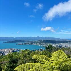 Te Ahumairangi Hill Lookout