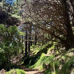 Hobbit's Hideaway (scene uit de film is de volgende foto)