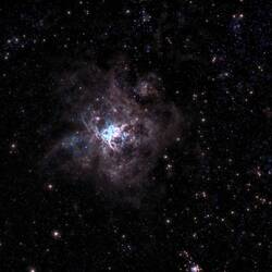Teleskop-Foto: Nebulosa de la Tarantula