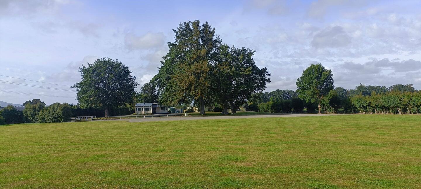 Dernière photo de notre camping à Parnassus avant de partir