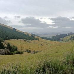 Sur la petite route qui nous conduit à la nationale apres avoir vu Cathedral Gully
