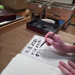 Lynette wowed them by writing in the visitor book in Japanese. Clever clogs.