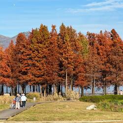 ... wie zum Beispiel diese hier.