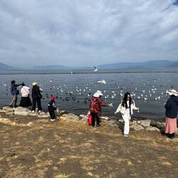Die Vögel stehen gut im Futter