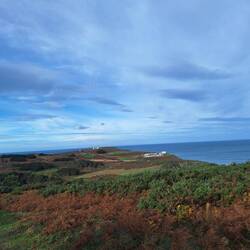 Parkplatz für die Mittagspause - die innere Unruhe treibt