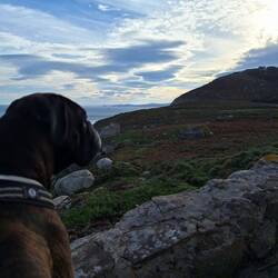 Schottische Highlands