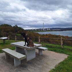 Schlafplatz für die Nacht - aber bloß keine Plastikstrohhalme