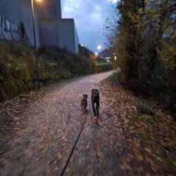 Und Pipi machen, überall matschig