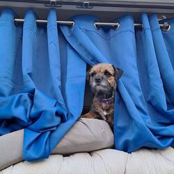 Du hast uns nicht mitgenommen