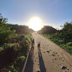 Umgebung auskuntschaften