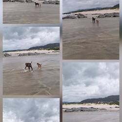 Flussüberquerung, zum Glück ist die Boje nicht abgetrieben