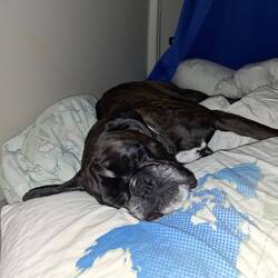 Vorschlafen, damit ich heute Nacht aufpassen kann