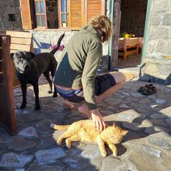 Begrüßung durch die Tiere.