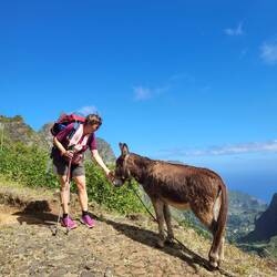 Kleine Auflockerung.