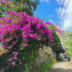 Zuerst geht es noch durch bewohntes Gebiet.